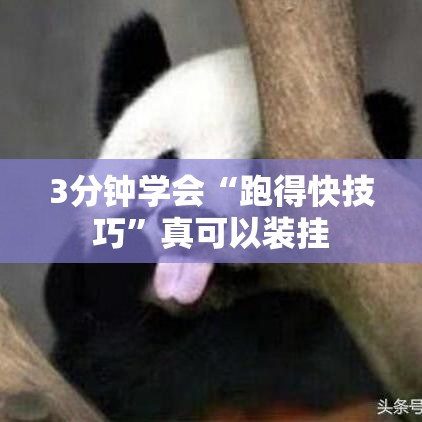 3分钟学会“跑得快技巧”真可以装挂