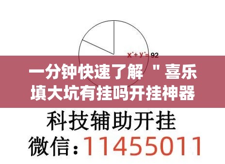 一分钟快速了解 ＂喜乐填大坑有挂吗开挂神器”(透视)辅助透视教程