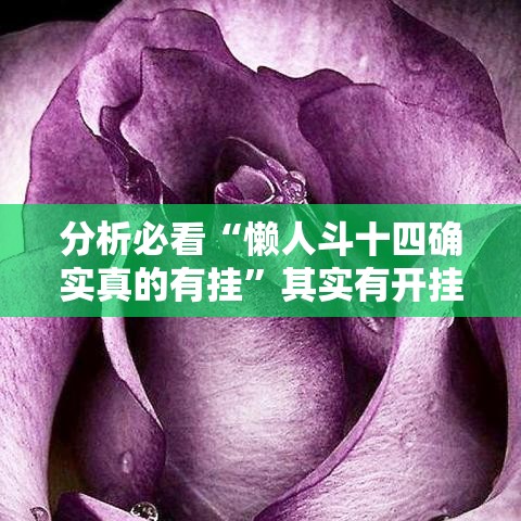 分析必看“懒人斗十四确实真的有挂”其实有开挂插件!