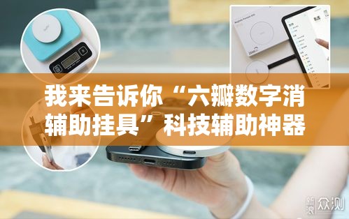 我来告诉你“六瓣数字消辅助挂具	”科技辅助神器手机