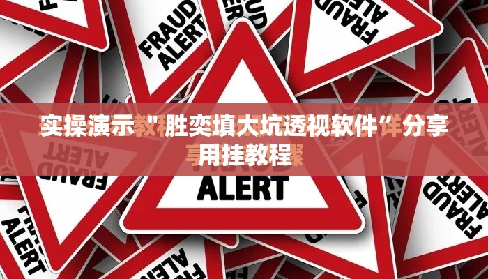 实操演示 ＂胜奕填大坑透视软件	”分享用挂教程