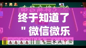 终于知道了 ＂微信微乐河南麻将有挂吗”(透视挂)最新辅助详细教程