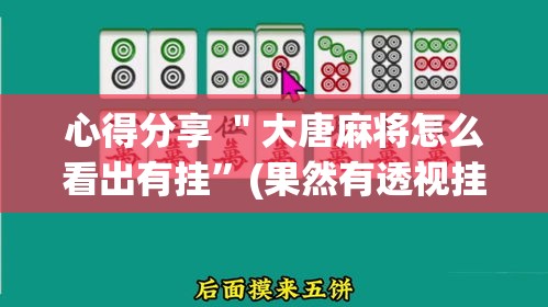 心得分享 ＂大唐麻将怎么看出有挂”(果然有透视挂)