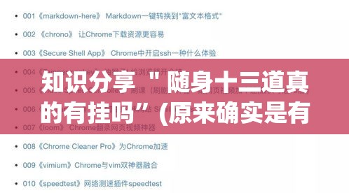 知识分享 ＂随身十三道真的有挂吗”(原来确实是有插件)