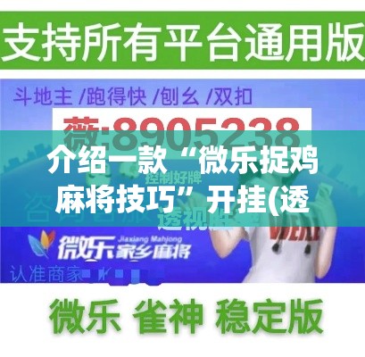 介绍一款“微乐捉鸡麻将技巧”开挂(透视)辅助神器