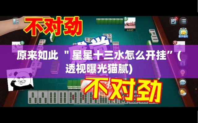 原来如此 ＂星星十三水怎么开挂”(透视曝光猫腻)