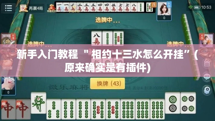 新手入门教程 ＂相约十三水怎么开挂	”(原来确实是有插件)