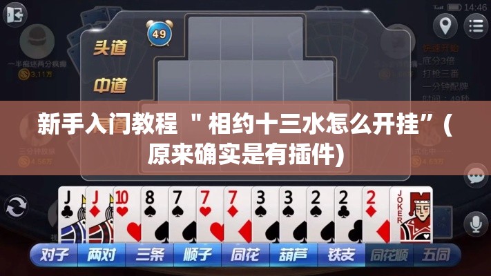 新手入门教程 ＂相约十三水怎么开挂”(原来确实是有插件)