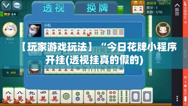【玩家游戏玩法】“今日花牌小程序开挂(透视挂真的假的)