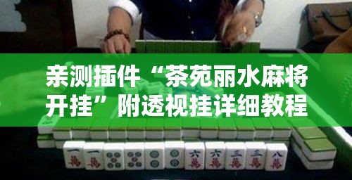 亲测插件“茶苑丽水麻将开挂”附透视挂详细教程