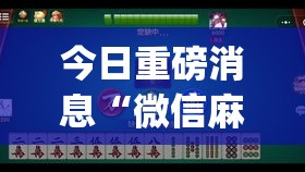 今日重磅消息“微信麻将小程序万能开挂器”(透视挂)最新辅助详细教程