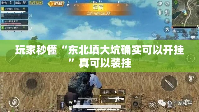 玩家秒懂“东北填大坑确实可以开挂”真可以装挂