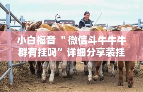 小白福音 ＂微信斗牛牛牛群有挂吗	”详细分享装挂步骤教程