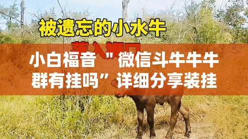 小白福音 ＂微信斗牛牛牛群有挂吗”详细分享装挂步骤教程