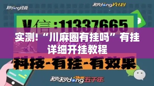 实测!“川麻圈有挂吗”有挂详细开挂教程