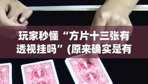玩家秒懂“方片十三张有透视挂吗”(原来确实是有挂)
