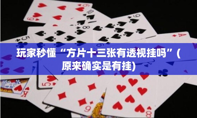 玩家秒懂“方片十三张有透视挂吗”(原来确实是有挂)