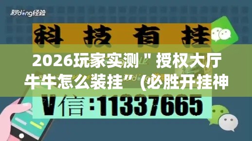 2026玩家实测＂授权大厅牛牛怎么装挂”(必胜开挂神器)