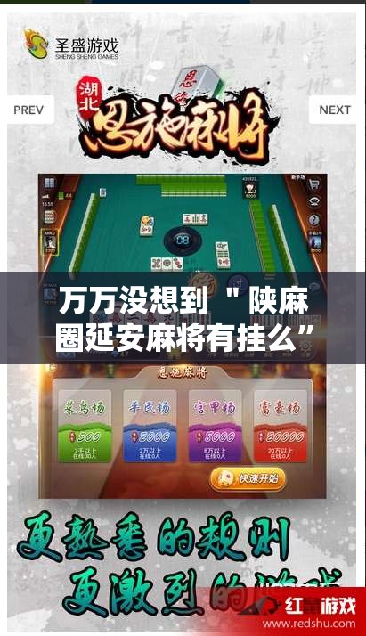 万万没想到 ＂陕麻圈延安麻将有挂么”开挂安装教程