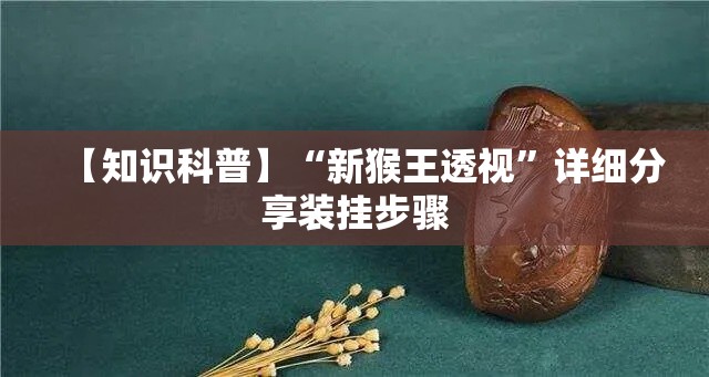 【知识科普】“新猴王透视”详细分享装挂步骤