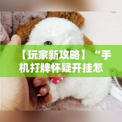 【玩家新攻略】“手机打牌怀疑开挂怎么查”详细外挂透视辅助软件教程