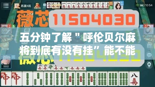 五分钟了解＂呼伦贝尔麻将到底有没有挂”能不能开挂!