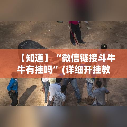 【知道】“微信链接斗牛牛有挂吗”(详细开挂教程)