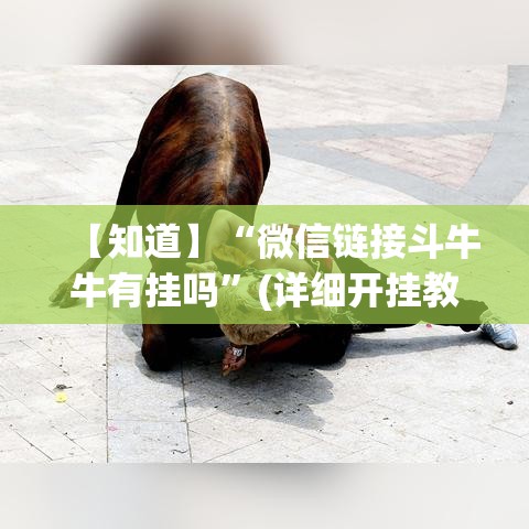 【知道】“微信链接斗牛牛有挂吗”(详细开挂教程)