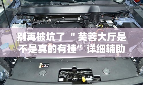 别再被坑了 ＂芙蓉大厅是不是真的有挂	”详细辅助透视