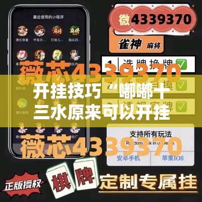 开挂技巧“嘟嘟十三水原来可以开挂”详细开挂安装教程