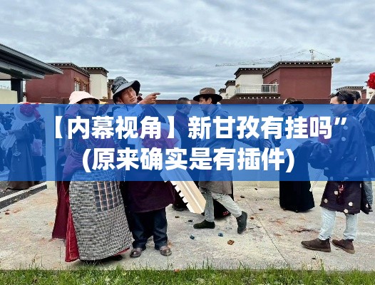 【内幕视角】新甘孜有挂吗”(原来确实是有插件)