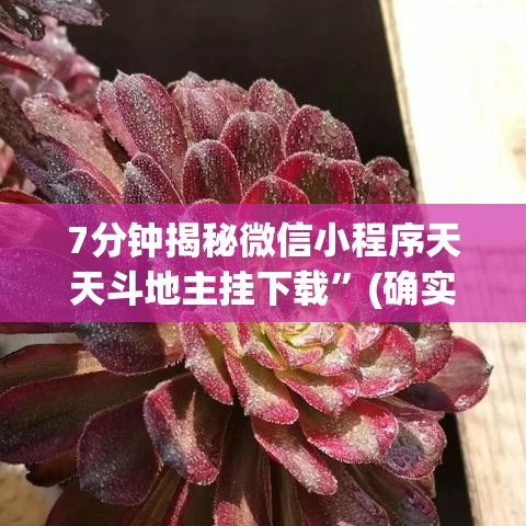 7分钟揭秘微信小程序天天斗地主挂下载”(确实是有挂)知乎