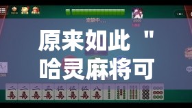 原来如此 ＂哈灵麻将可以开挂吗？”真的有挂