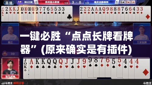一键必胜“点点长牌看牌器”(原来确实是有插件)