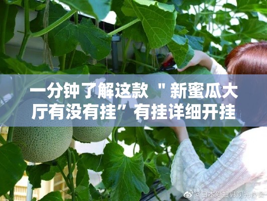 一分钟了解这款 ＂新蜜瓜大厅有没有挂”有挂详细开挂教程