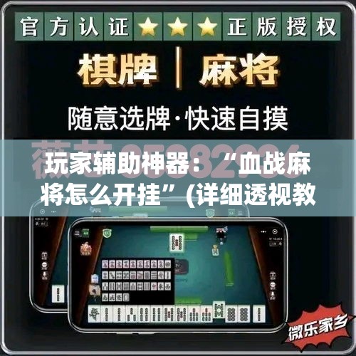玩家辅助神器：“血战麻将怎么开挂”(详细透视教程)-