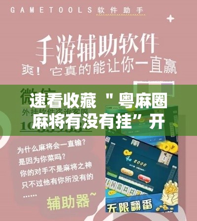 速看收藏 ＂粤麻圈麻将有没有挂”开挂辅助脚本+详细