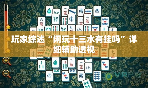 玩家综述“闲玩十三水有挂吗”详细辅助透视
