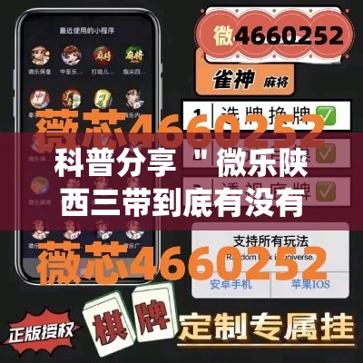 科普分享 ＂微乐陕西三带到底有没有挂”(详细辅助脚本)