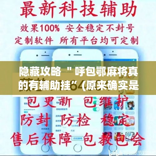 隐藏攻略 ＂呼包鄂麻将真的有辅助挂”(原来确实是有插件)