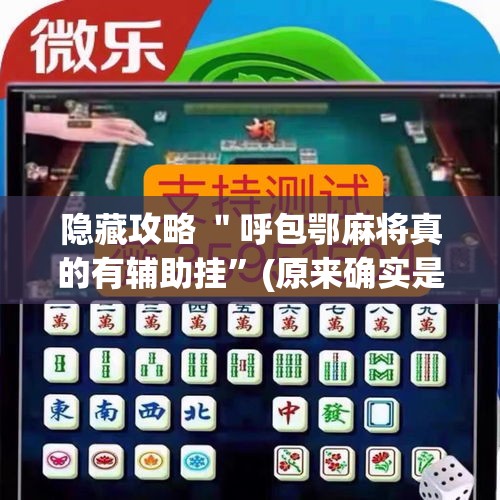 隐藏攻略 ＂呼包鄂麻将真的有辅助挂	”(原来确实是有插件)