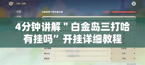 4分钟讲解＂白金岛三打哈有挂吗	”开挂详细教程