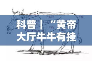 科普｜“黄帝大厅牛牛有挂吗”实测确实有挂