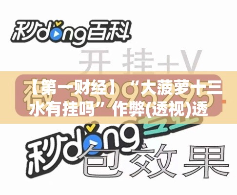【第一财经】“大菠萝十三水有挂吗”作弊(透视)透视辅助
