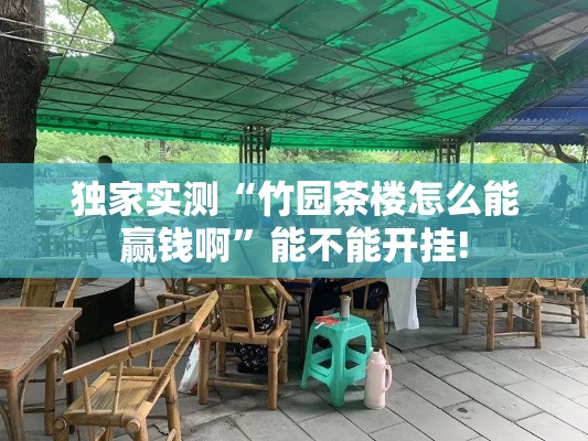 独家实测“竹园茶楼怎么能赢钱啊”能不能开挂!