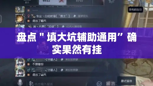 盘点＂填大坑辅助通用”确实果然有挂