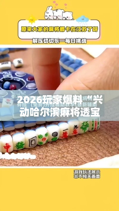 2026玩家爆料“兴动哈尔滨麻将透宝挂”开挂辅助软件教程