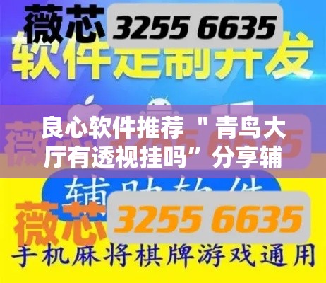 良心软件推荐 ＂青鸟大厅有透视挂吗	”分享辅助外挂教程