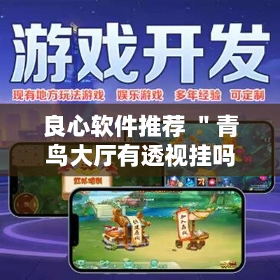 良心软件推荐 ＂青鸟大厅有透视挂吗”分享辅助外挂教程