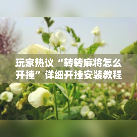 玩家热议“转转麻将怎么开挂”详细开挂安装教程